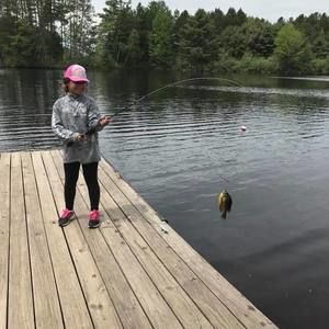 Meet your Posher, Robin